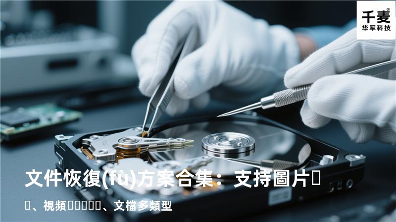 文件恢復(fù)方案合集：支持圖片、視頻、文檔多類型 